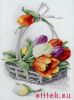 22530.thumb.jpg.b11ce33b4be3290fb28c1cba710a8bb6.jpg