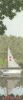 24003.thumb.jpg.eb8dea1599cae229ae15c75751866bc4.jpg