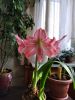 изображение_viber_2020-04-16_09-22-53.jpg