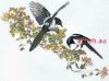 Thea Gouverneur 1075, Сороки (Magpies)