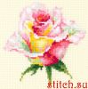46328.thumb.jpg.bda058127b8d3a56bd8c3fc488655f20.jpg
