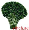 Кларт 10-003, Брошь. Брокколи