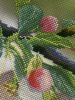 6.thumb.jpeg.8af467228cea565ae21ff031deda7611.jpeg