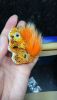 6.thumb.jpg.7957c06b4da822b0cae5263c53d2d494.jpg