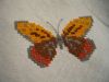 613310306_160.5.thumb.jpg.0c87524254d6acbe1eaceaca6c51ffdc.jpg