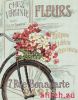 Dimensions 35195, Парижский велосипед (Parisian Bicycle)