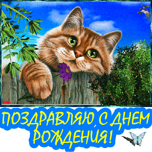 79001349.thumb.gif.71a4b2ec3a2fd5a7a43e0cdf2f445c90.gif