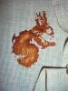 CIMG9906.thumb.JPG.7d6b7eddaf123a8359c63f22b04eb4ab.JPG
