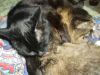 DSCF3653.thumb.JPG.73123c2e23dc119075ade24b7cb4aabf.JPG