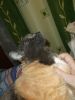 DSCF3669.thumb.JPG.6750227fe899e93836542dd415222e5e.JPG