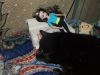 DSCF3701.thumb.JPG.2a9a7ce841d7a55229e20982278bc4dc.JPG