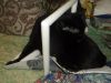 DSCF3711.thumb.JPG.4912ba25a4e8269f637e53f3922f14c8.JPG