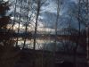DSCF3718.thumb.JPG.db89995ffdf541ae87e761d16836be91.JPG