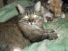 DSCF3724.thumb.JPG.a24540d353e92eab9ffcdd04b595d2a6.JPG