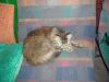DSCN3007.thumb.JPG.8c219e66d5316effa8bf3922d20894af.JPG