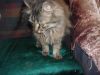 DSCN3008.thumb.JPG.b20a3a662632a41a1acf06f7ccc19c73.JPG