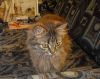 DSCN3014.thumb.jpg.f36c8eda8b4c990c03cba3bead540af2.jpg
