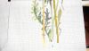 DSCN5262.JPG.83d219adbcf95e5963f2e1c761ae61e5.thumb.jpg.c94c4f37fbde907ef5185a51efeba7bf.jpg