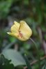 DSC_0280.thumb.JPG.e58dcd9d192327008fd81ac938d0ca54.JPG