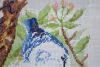 DSC_7885.thumb.JPG.a8e5b92abe7cc021b3ffcfd64c47e226.JPG