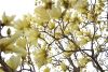 DSC_7938.thumb.JPG.6a12662f9f5a79ac84c2e114baf61aff.JPG