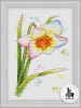 Daffodil_framed_logo.png
