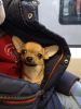 IMG-20200424-WA0007.thumb.jpg.2d520bfa2562675c29e3a93db461b04c.jpg