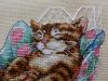 IMG_0003.thumb.JPG.91d95190836457f4af40d42ccbb396a3.JPG
