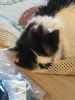 IMG_20200312_132938.thumb.jpg.e265d05756493fd4617be59115841c09.jpg