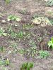 IMG_20200321_124932.thumb.jpg.bcaf38582db4b391db6e625abf3b0af7.jpg