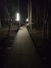 IMG_20200327_201615.thumb.jpg.8b088bbb7eb572c18ff77f5211f4cecb.jpg