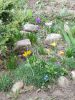 IMG_20200328_135546.thumb.jpg.5809d0fcec618e309e794a295efd6e4b.jpg