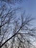 IMG_20200328_163505.thumb.jpg.42a5270b98f5490c6d2dddf187d71271.jpg