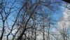 IMG_20200405_163801.thumb.jpg.891d2f2820dc72ea21c2dd50d77a7fff.jpg