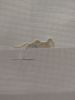 IMG_20200410_114123.thumb.jpg.35659813bec9c4593bc71cc79d106fc5.jpg