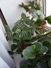 IMG_20200414_142504.jpg