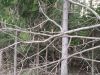 IMG_20200418_182315.thumb.jpg.18c89849ccb50c310a5637439acc8f24.jpg