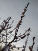 IMG_20200424_202941_compress50.jpg