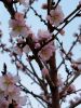 IMG_20200424_203154_compress57.thumb.jpg.83ad3f4e1bf59db1529f799c280b4f68.jpg