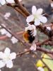 IMG_20200424_203357_compress33.thumb.jpg.930076a87f9eb841af4df6bd94b5aac3.jpg