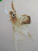 IMG_20200426_073029-min.thumb.jpg.fc890e7551887d436dceb388a0c8ad25.jpg