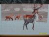SAM_2343.JPG.defb1c0ed527389790425f8377a1e163.thumb.jpg.e524eaf663d0f9f1ca8842538e62904a.jpg