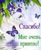 spasibo0004.thumb.jpg.6c1d909e006791f46427ba5464a97823.jpg