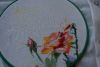 05.thumb.JPG.feaddad5efae09515d88749edf66bbd5.JPG