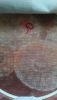 1.thumb.jpg.3181655a27711f70bce45c5be460c643.jpg