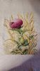 1.thumb.jpg.3b636dcc431d3703e5ebb4a254f5ab92.jpg