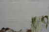 1.thumb.jpg.845eadce8e236ee169babe5a3cda2c00.jpg