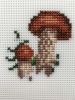 103.thumb.jpeg.be03f86c5b1ad81fc764f305907188b2.jpeg