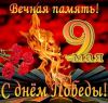 1099423713__9__.thumb.jpg.42b8fc520246fe13be46a6a901421586.jpg