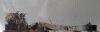 20190405_141321.thumb.jpg.31b56171f5c7e12f3adb8f02e7ef4734.jpg